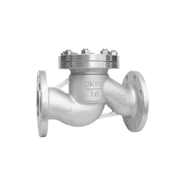 Stainless steel lifting check valve