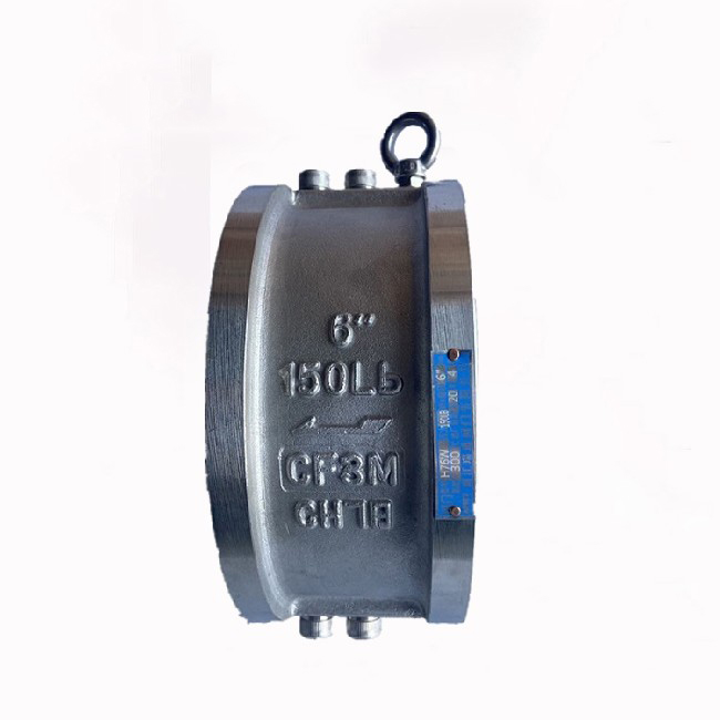 H76 Double Disc Clamp Check Valve QDD